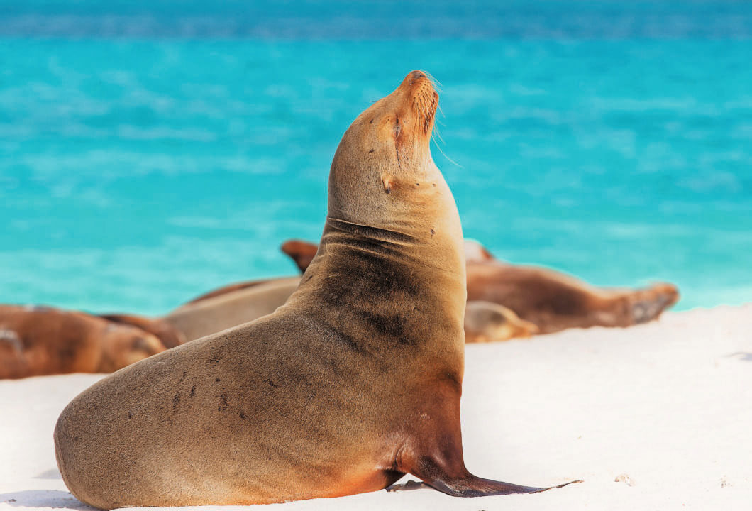 UNESCO Weltnaturerbe: Galapagos Inseln