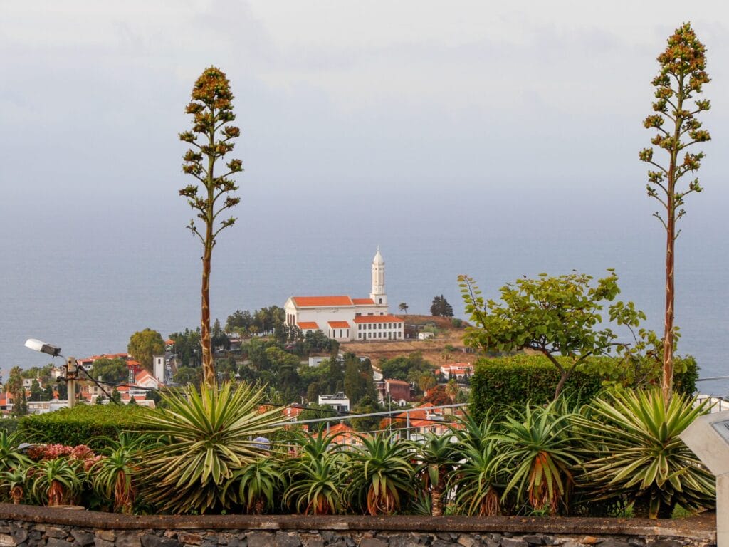 Ausblick auf eine Kirche, die von zwei Agaven-Stängel umrahmt ist. Im Hintergrund das Meer bei bedecktem Himmel