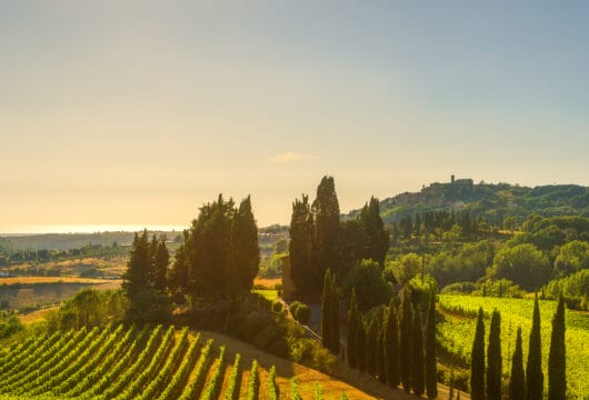 Hügellandschaft in der Toscana im warmen Abendlicht. Im Vordergrund ein Rebberg, im Hintergrund Zypressen und ein Landhaus. Blauer Himmel mit tief stehender Sonne.