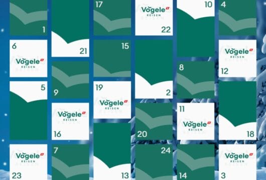 Adventskalender von Vögele Reisen mit 24 weissen und grünen Türchen. Im Hintergrund eine Winterlandschaft